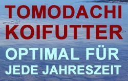 Das Koifutter von Tomodachi ist optimal für jede Jahreszeit. Tomodachi hält für die gesamte Teichsaison die ideale Futtersorte für Ihre Koi bereit.